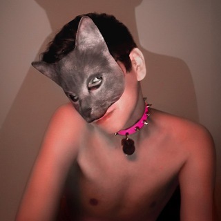 TWINK CAT 🐱