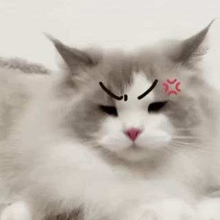 男神嘿嘿- iOS频道