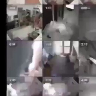 IPVoyeurCams