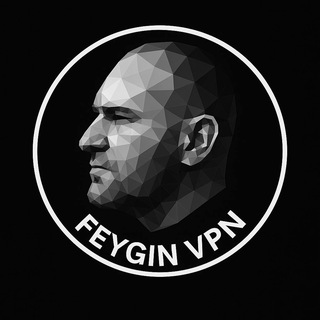 Feygin VPN