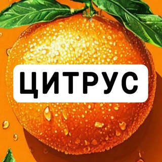 ЦИТРУС Сеть магазинов бытовой техники