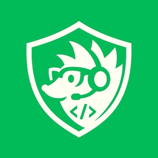 CyberYozh support