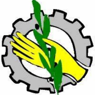TRABAJO SOCIAL UNED-GRUPOS ASIGNATURAS