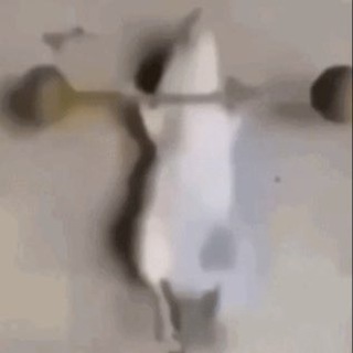 GymRat