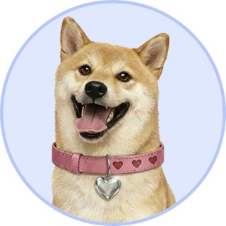 DogeGF Official