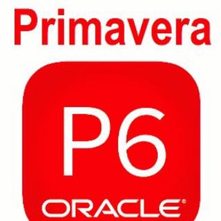 Primavera P6 (Planning Engineers)