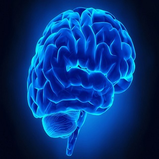 🧠 Psychology Videos Mind Tricks