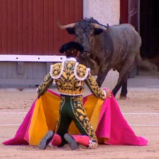 Toros TV (directos y enlatados)