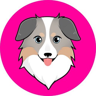 🐕 $ASS: Australian Safe Shepherd 🐕