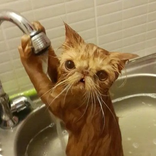 Faucet Bot