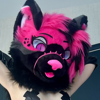 Vixen’s Kitten Corner