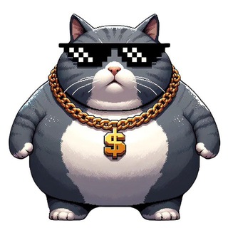 FatCatWen- Fattest cat on Solana !