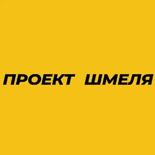 Проект Шмеля - Катя Конасова ✔