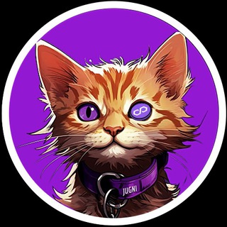 Jugni - The Matic Cat