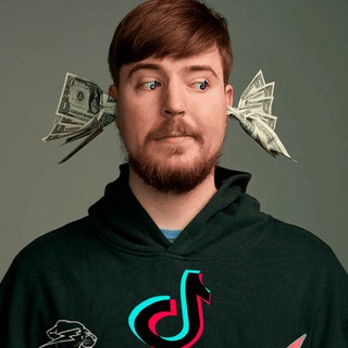 MrBeast Tiktok Checker