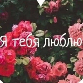 Феи Киева (оригинал) | Чат Знакомств: Содержанки и Спонсоры