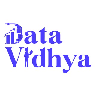 DataVidhya
