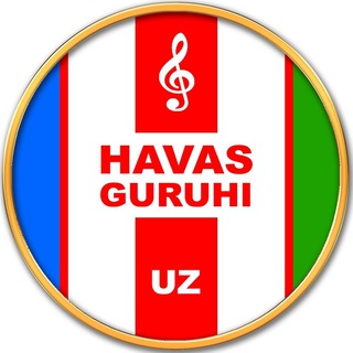 HAVAS GURUHI