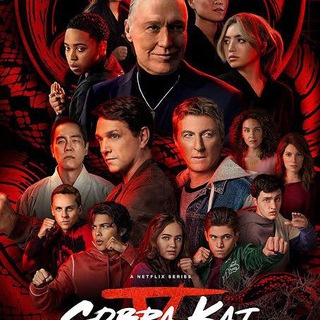 COBRA KAI SERIES