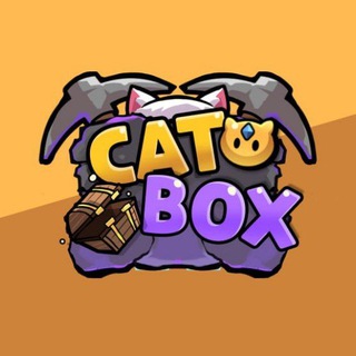 CatBox News