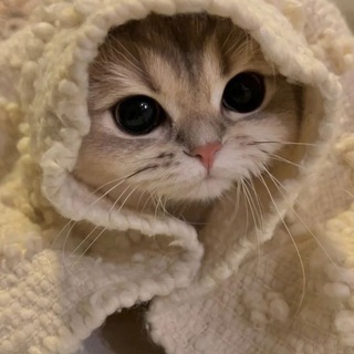 нотмалваре)️️