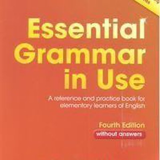 Essential Grammar In Use 4th Edition