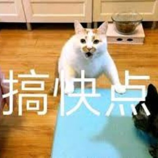 台北舒壓每週預約群