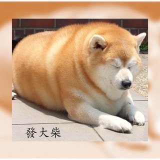 股海筋肉人TG頻道