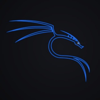 Kali Linux 2020 От А до Я.