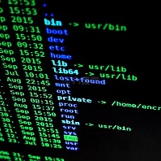 shell交易、buyshell，seo技术、SEO黑帽、百度SEO、渗透提权