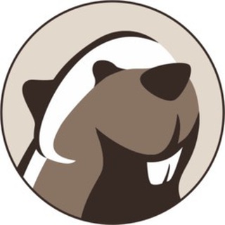 DBeaver official