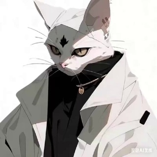 Stymei全网综合分享