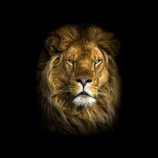 HARSH SINGHROAR