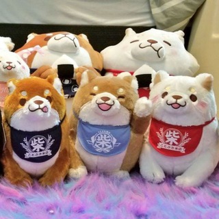 🌸🧸✨ Plush & Toy Collectors ✨🧸🌸