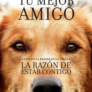 La razón de estar contigo 1 y 2 en Español latino