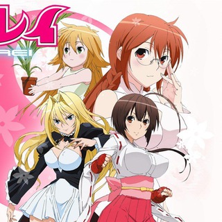 Sekirei in Low MbEnglish Dubbed Anime Less size 480p less mb