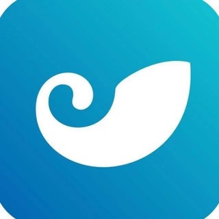 imToken官方中文频道