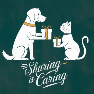 Sharing is caring Magdeburg
