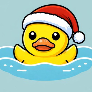 Duck VPN
