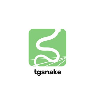 tgsnake chat