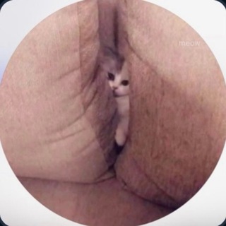 iamsamyy_c Content 💦😰