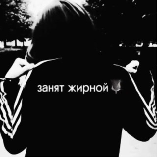 холли молли