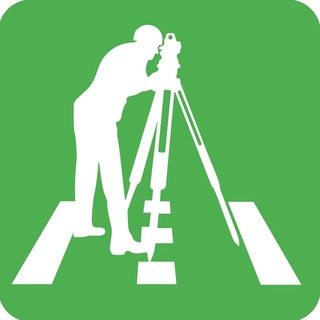 Surveyor гео.