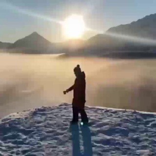Stock Videos (Pexels & Pixabay)