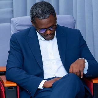 The Ethiopian Economist View