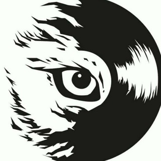 Official Vinyl Digital Channel