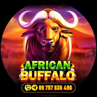 Shwe Myanmar Buffalo688 Agent