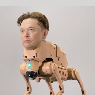 Regular Animals
