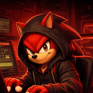 SonicX