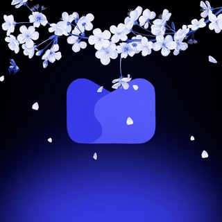 Musmedia Digital — дистрибуция